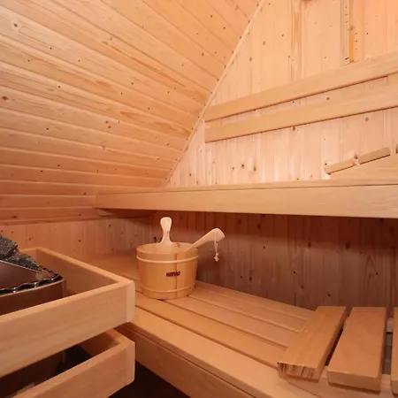 Pet-free Texel With Sauna Villa