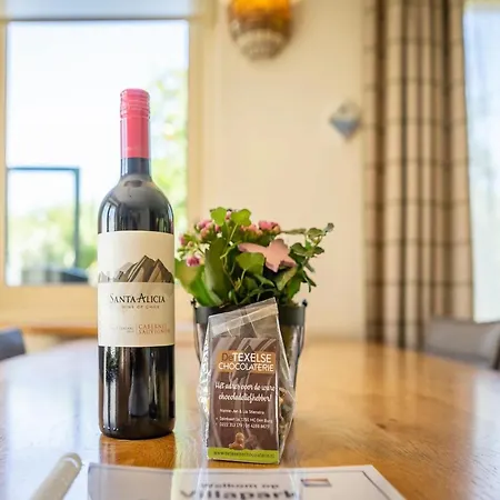 Pet-free Texel With Sauna Villa